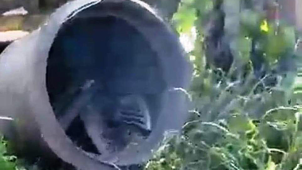 Nổ lò hơi khiến một phụ nữ tử vong