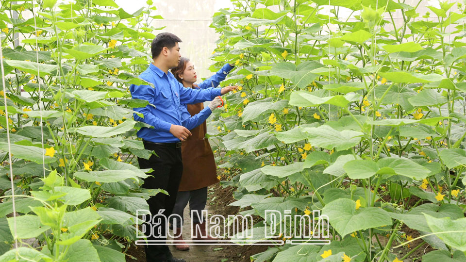 Hội nghị kết nối kinh doanh cho doanh nghiệp khởi nghiệp đổi mới sáng tạo