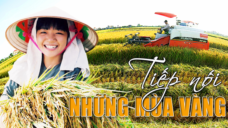 Tiếp nối những mùa vàng