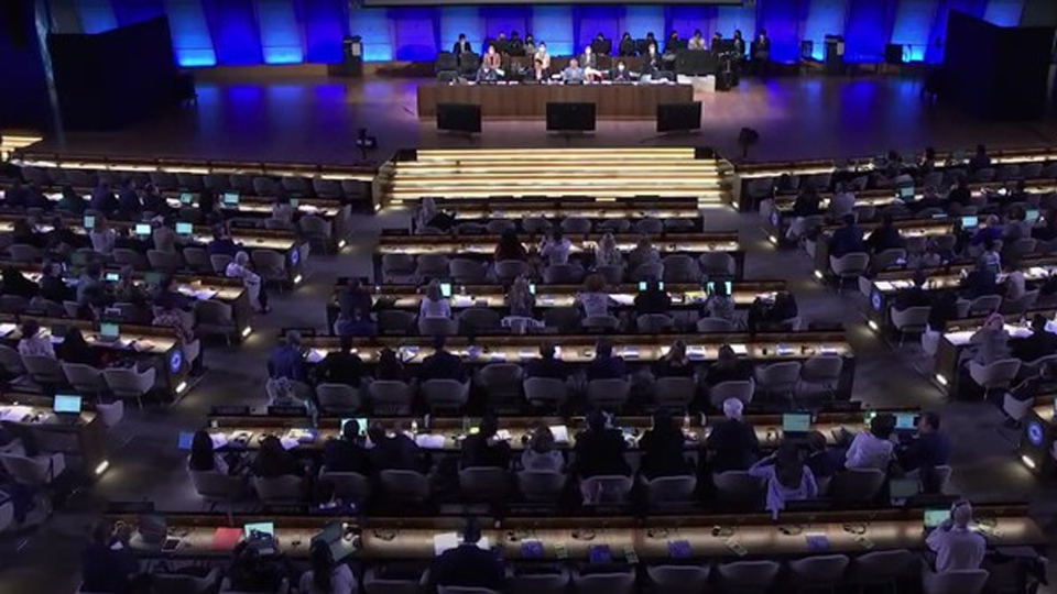 Việt Nam trúng cử vào cơ quan điều hành then chốt về văn hóa của UNESCO