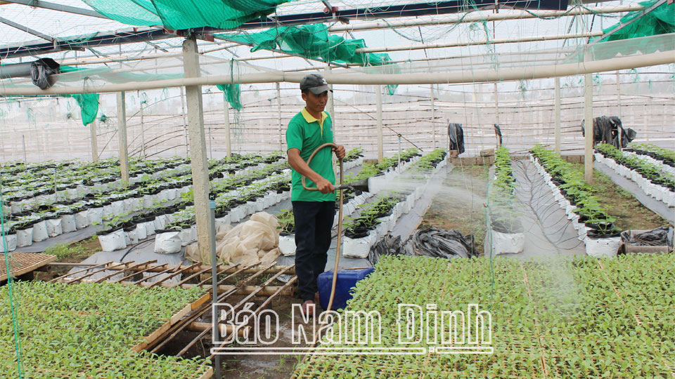 Thực hiện đồng bộ các giải pháp để phát triển nông nghiệp bền vững