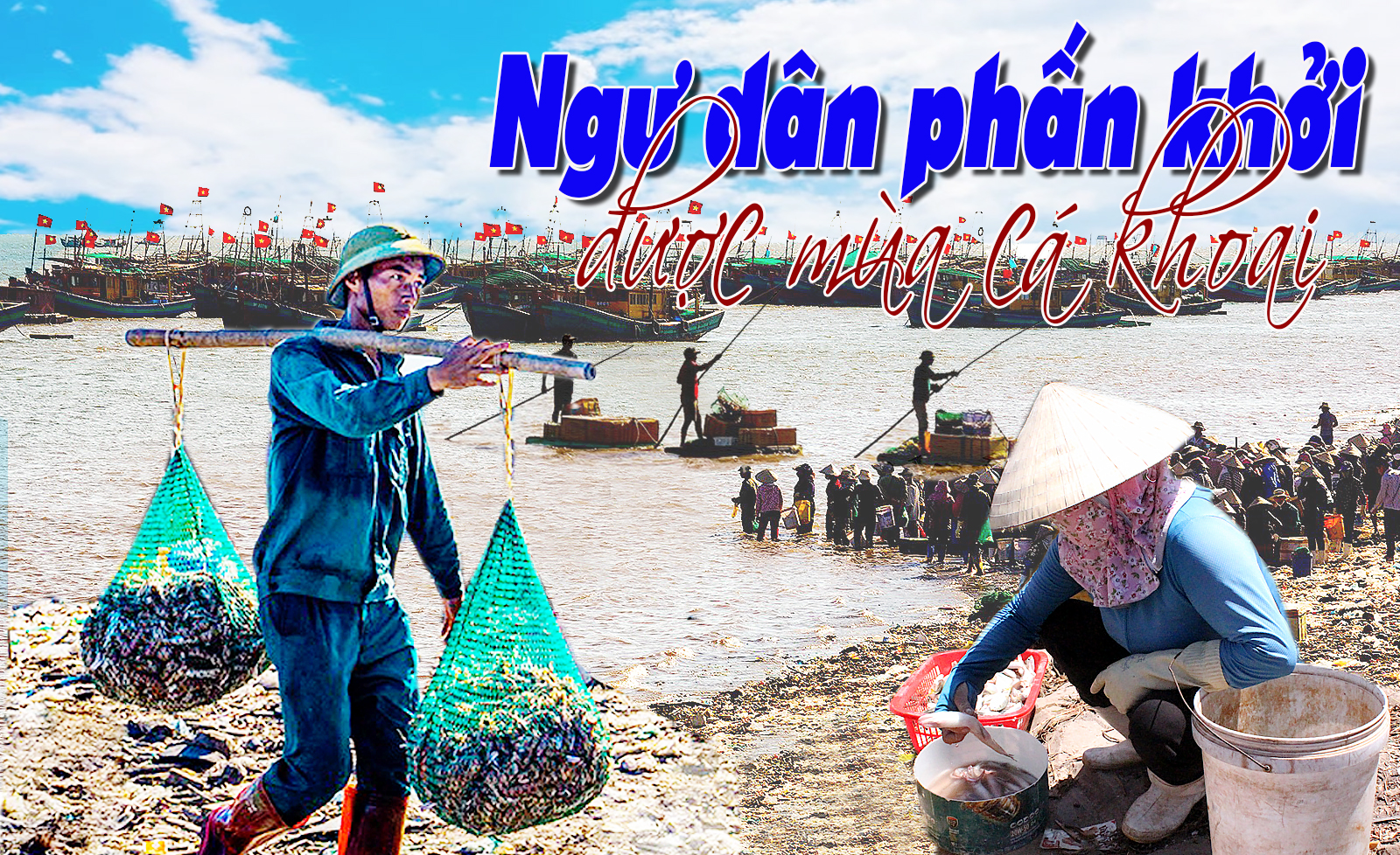 Ngư dân phấn khởi được mùa cá khoai