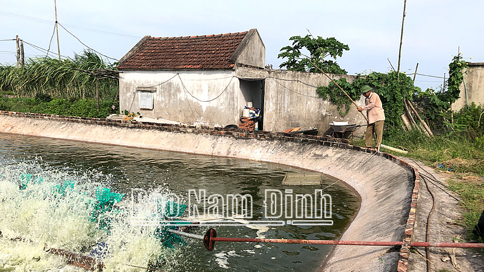 Phát triển nuôi thuỷ sản ở Hải Đông