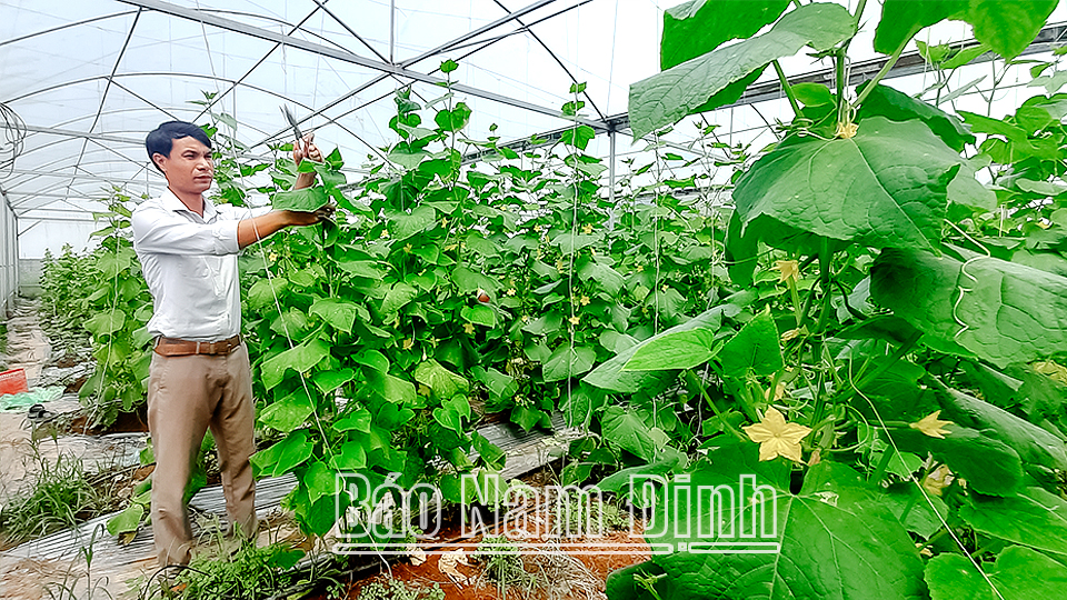 Thanh niên Nghĩa Hưng làm theo lời Bác