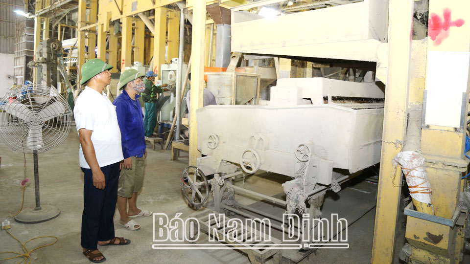 Tạo động lực thúc đẩy kinh tế tập thể, Hợp tác xã phát triển