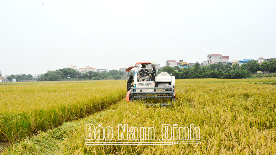 Phát triển kinh tế tạo nền tảng vững chắc cho xây dựng nông thôn mới