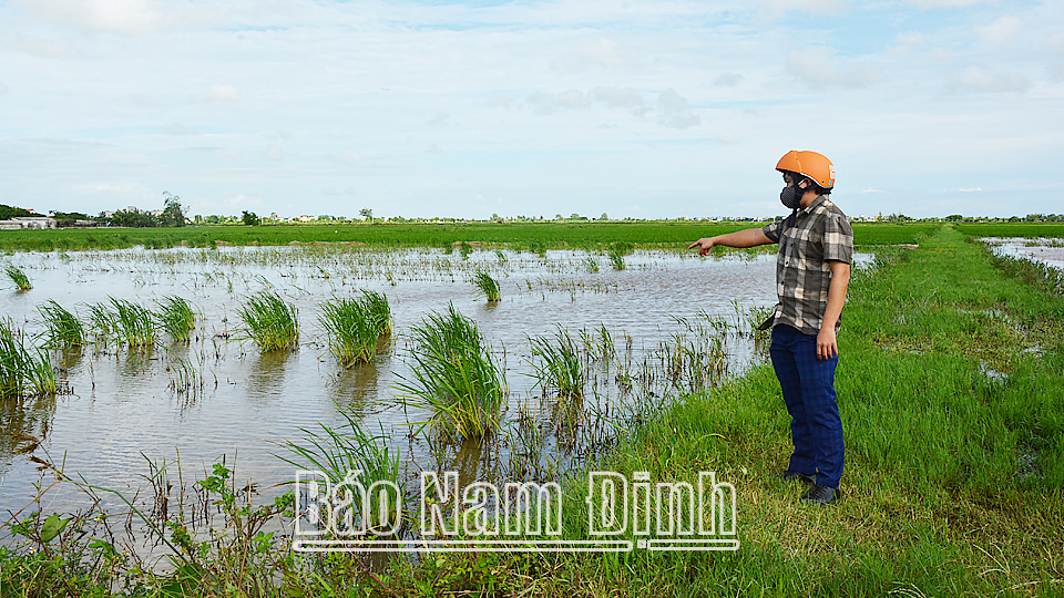 Khắc phục tình trạng nông dân bỏ ruộng hoang (kỳ 1)