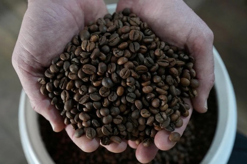 Giá cà phê hôm nay 29/10: Đồng loạt giảm, arabica chạm đáy 2 tuần