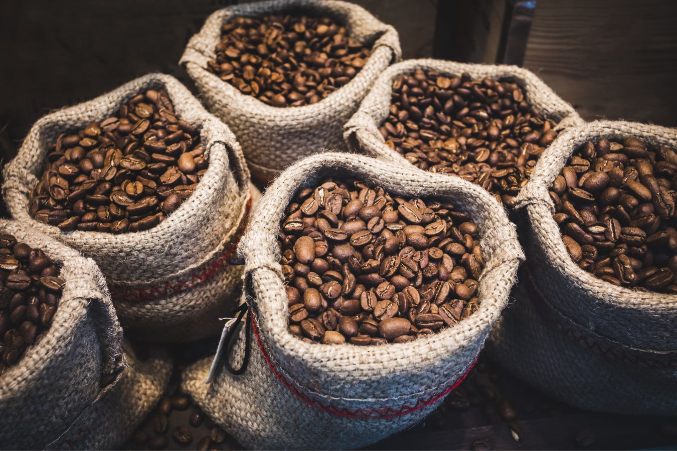 Giá cà phê hôm nay 30/10: Tiếp tục giảm, arabica chạm đáy 1 tháng
