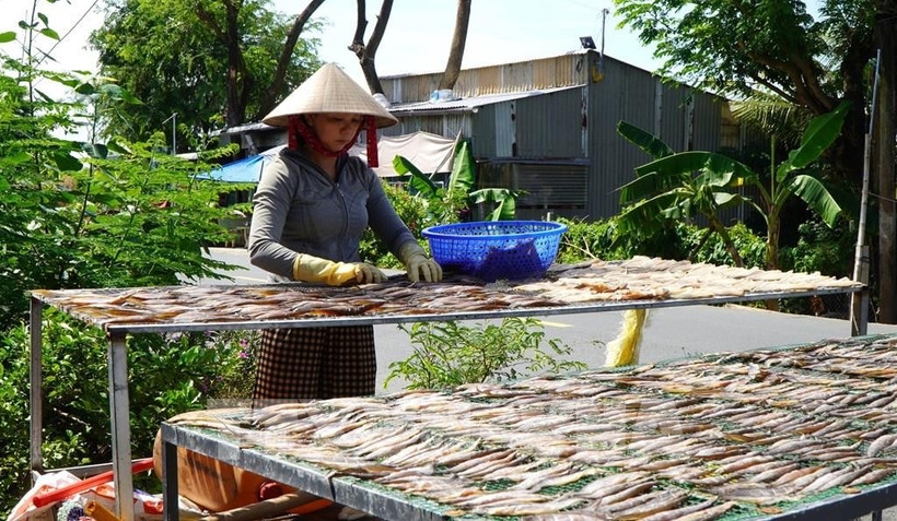 Trinh Thi Nhu Hoa, a resident of Thuong Phuoc commune, Dong Thap province starts her business producing various types of dried freshwater fish (Photo: VNA)