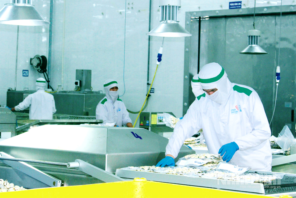 Processing clam at Lenger Seafood Vietnam Co., Ltd. in Truong Thi ward.