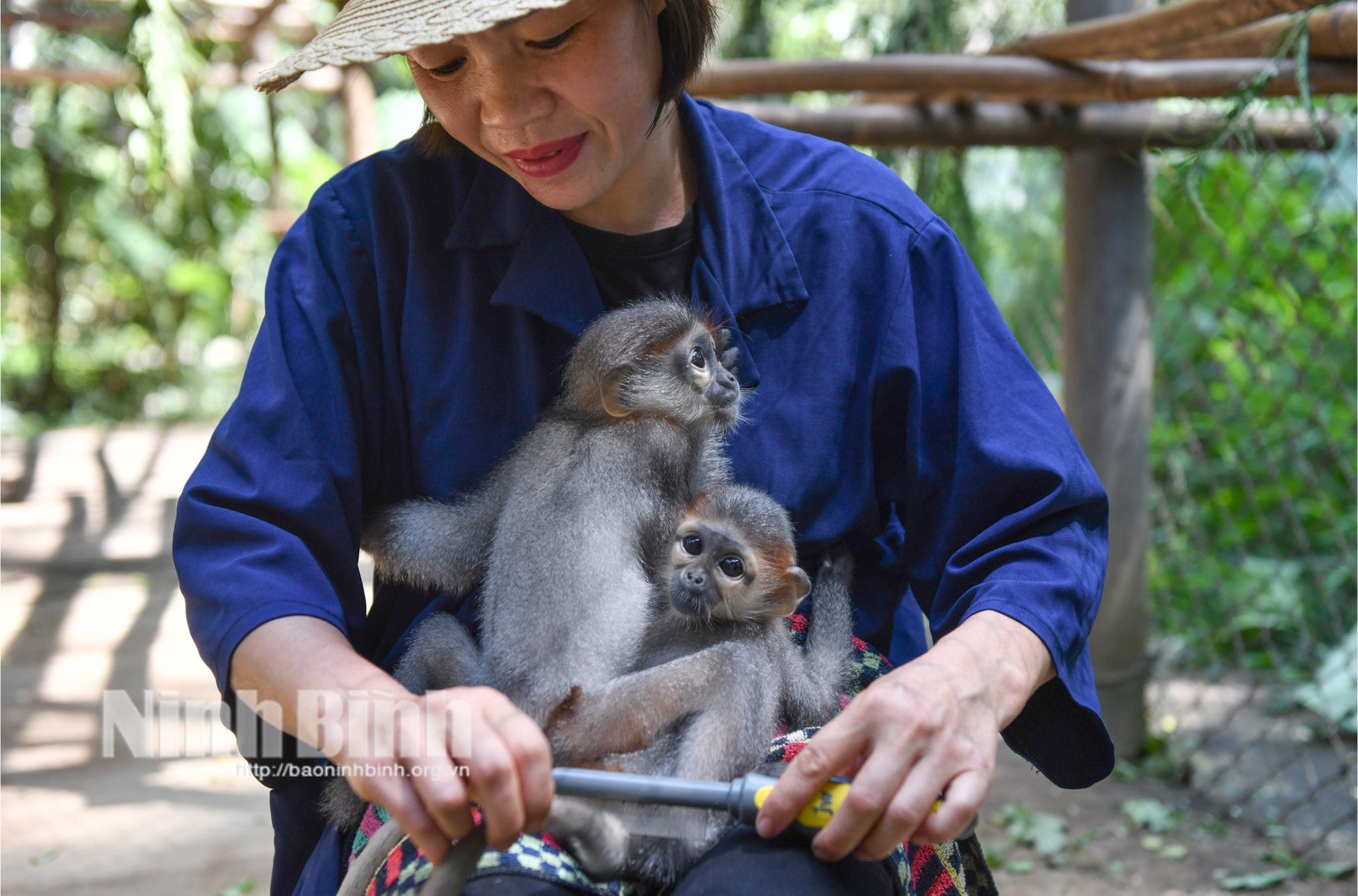 Cuc Phuong is home to an ecosystem comprising thousands of plant and animal species.