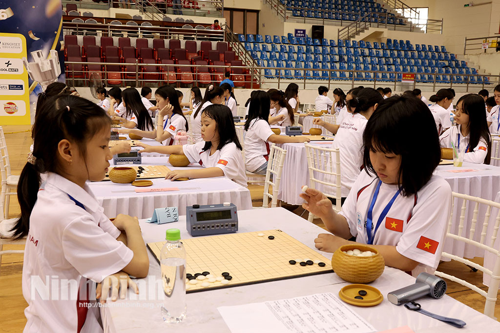 More than 550 chess players compete at 2026 National Team Chess Championship in Ninh Binh.