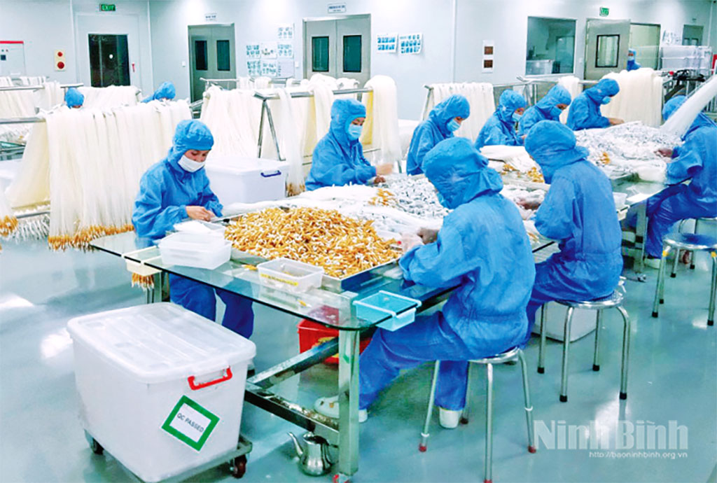 Production at Vietnam Plastic Corporation in Tam Diep industrial zone.